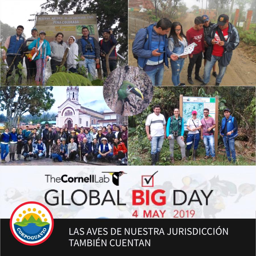 las-aves-de-nuestra-jurisdiccion