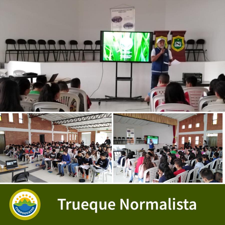 trueque-normalista