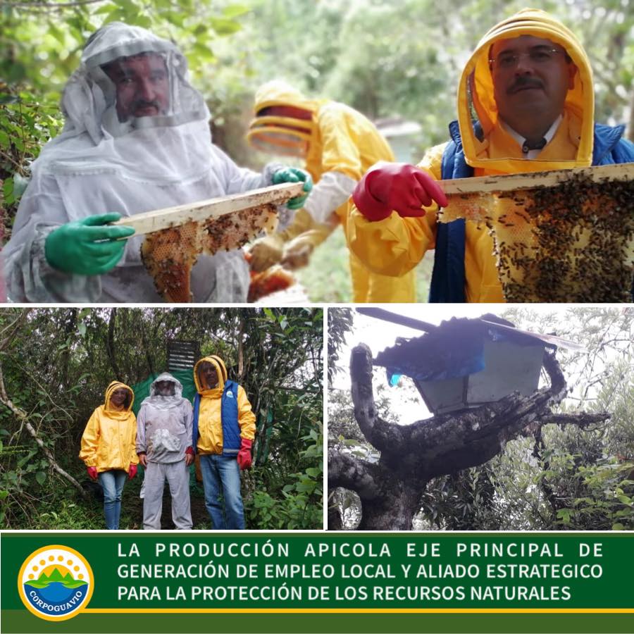 la-prodiccion-apicola-eje-principal