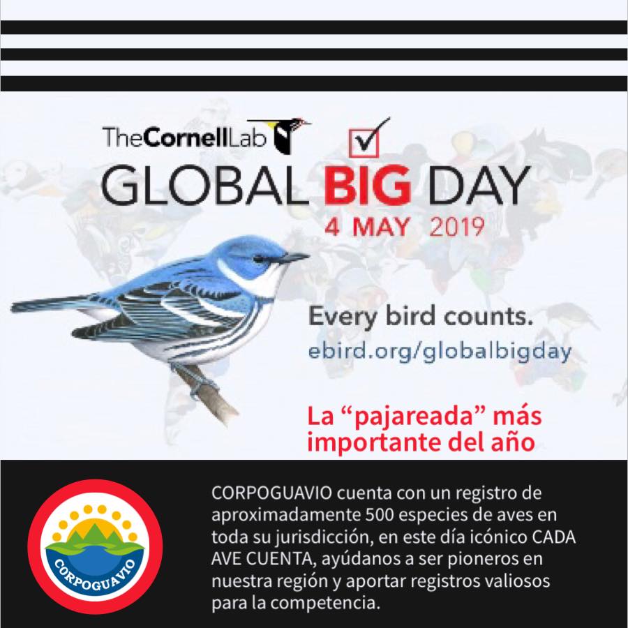 global-big-day