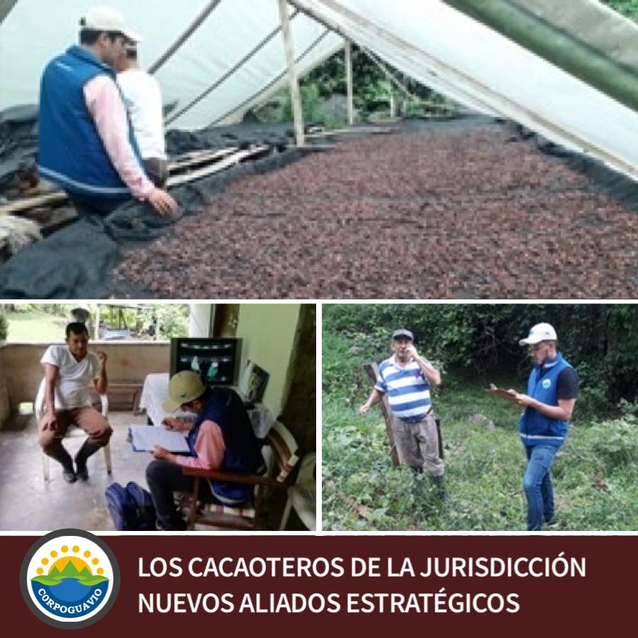 los-cacaoteros-de-la-jurisdiccion