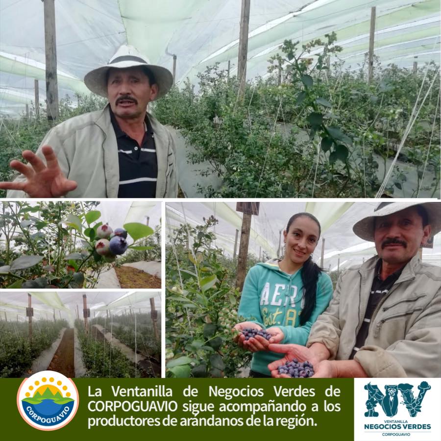 la-ventanilla-de-negocios-verdes