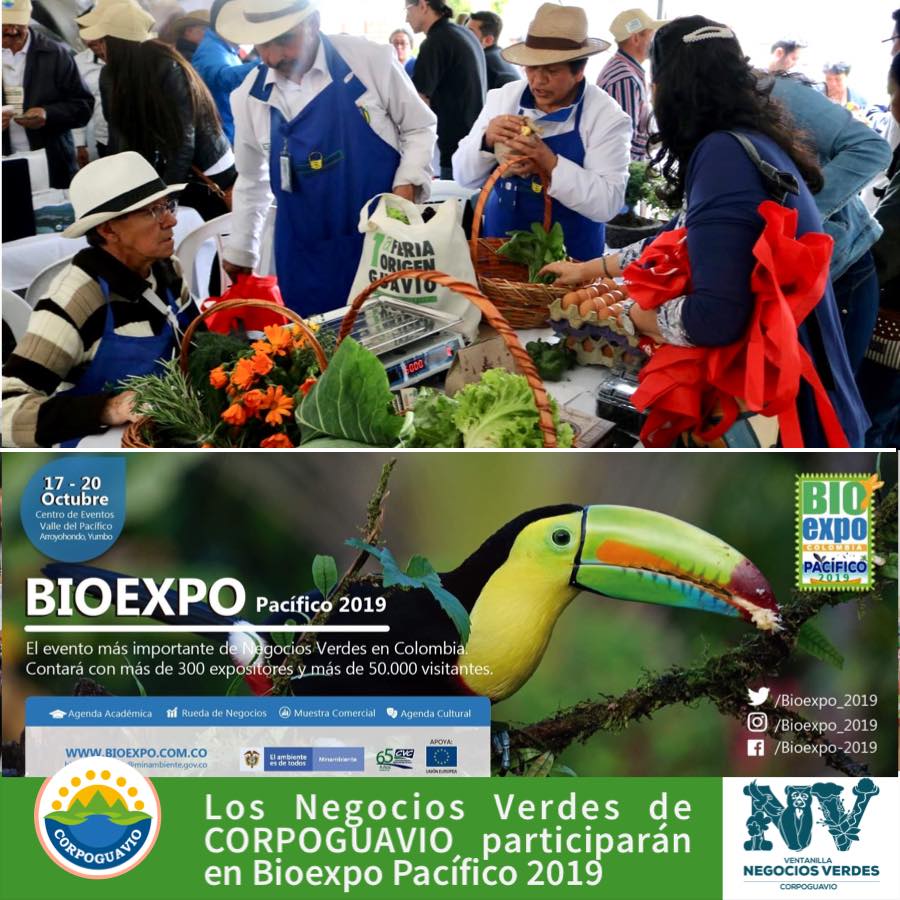 los-negocios-verdes