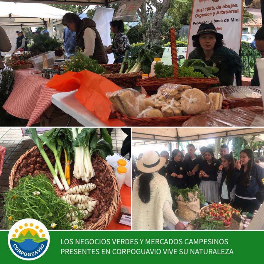 los-negocios-verdes-y-mercados