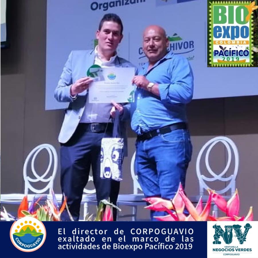 el-director-corpoguavio