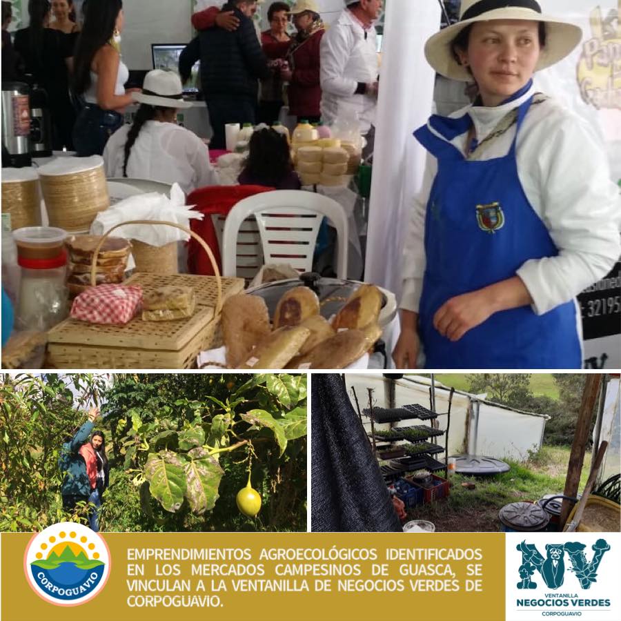 empredimientos-agroecológicos