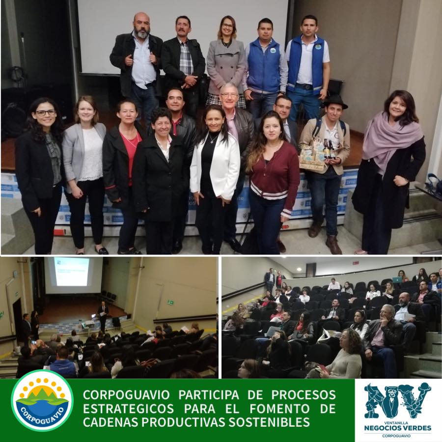 procesos estrategicos