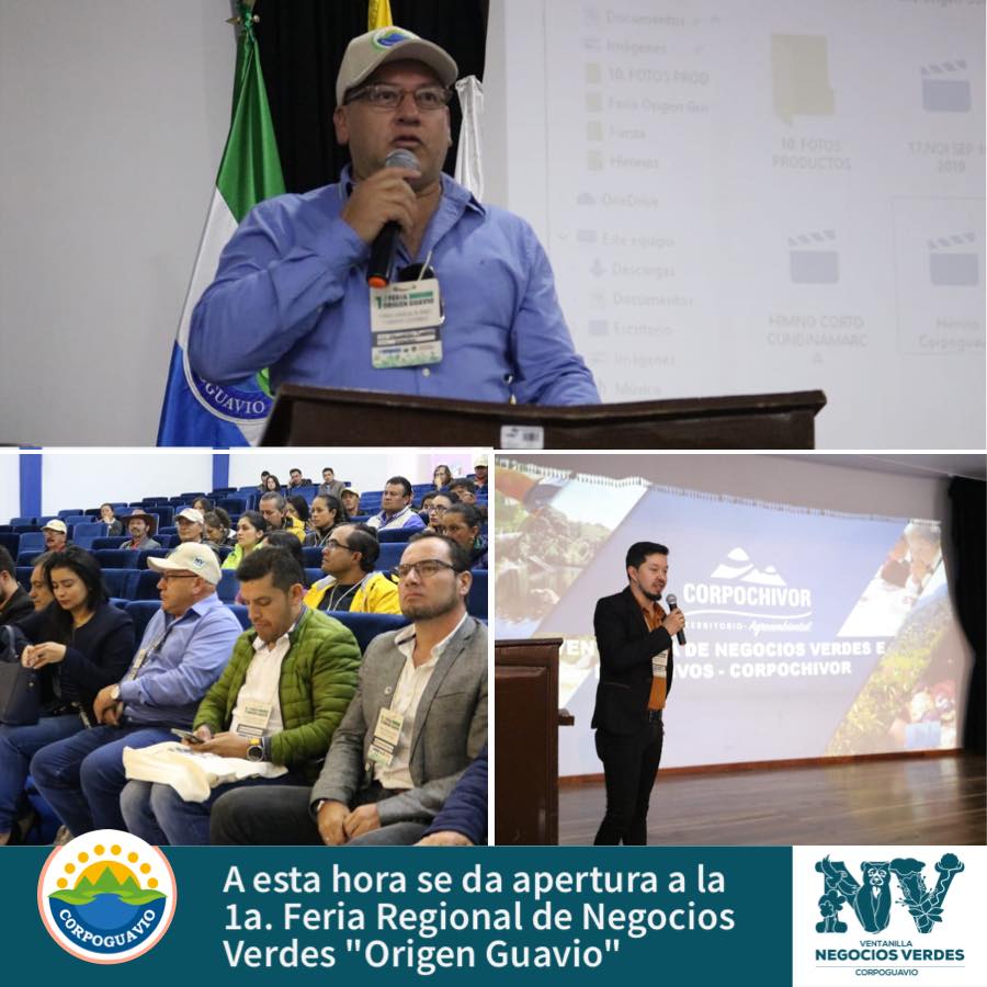 reporte-feria-nv-1