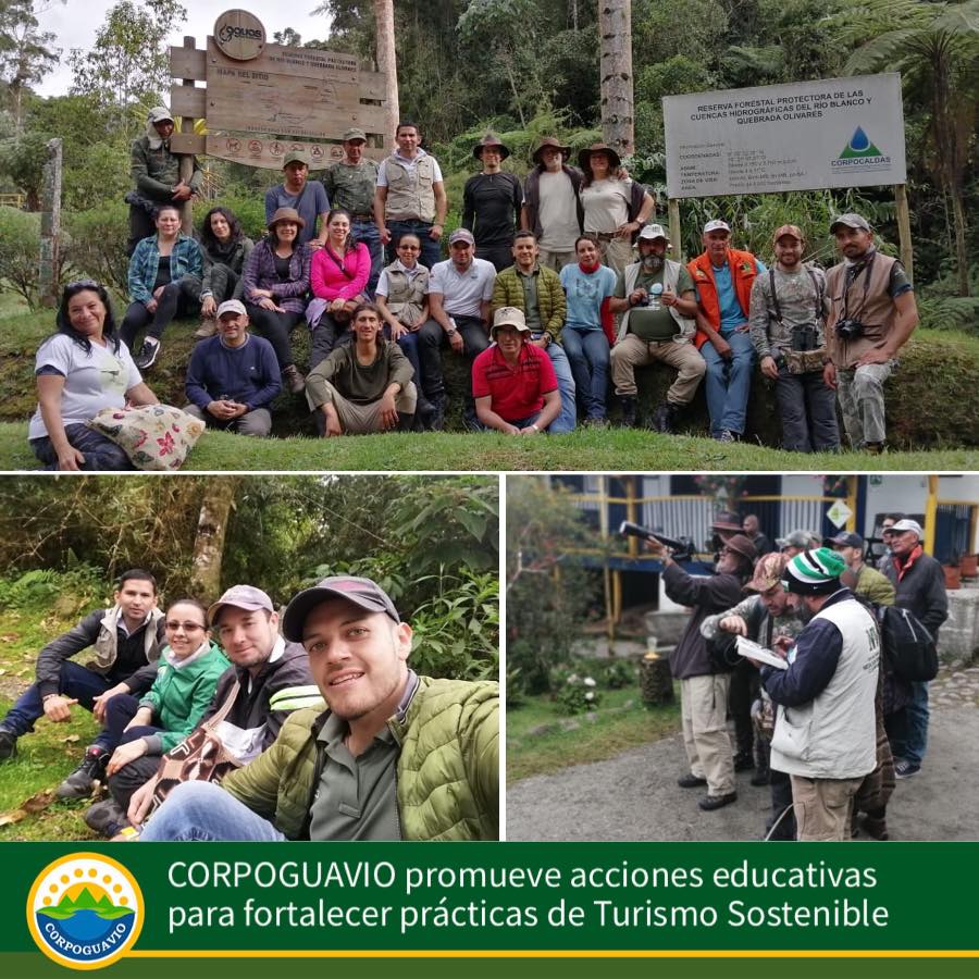 acciones educativas