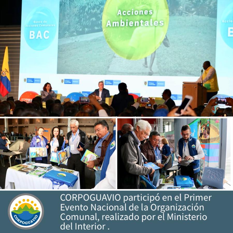 construyendo-pais