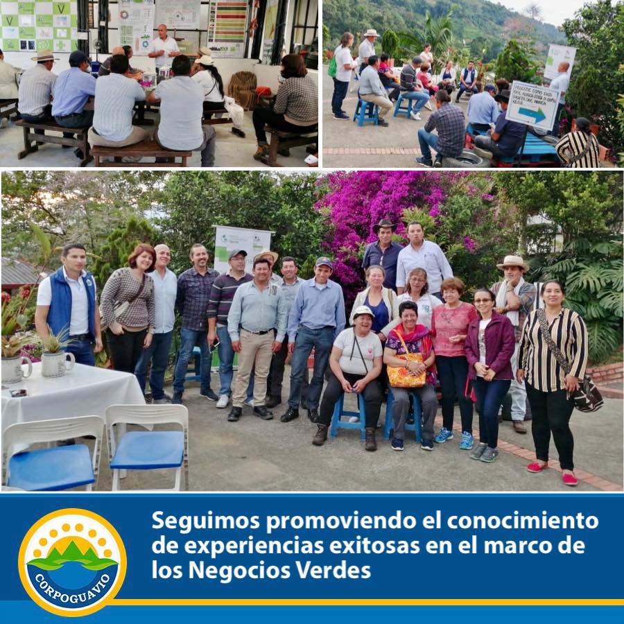 Noticia