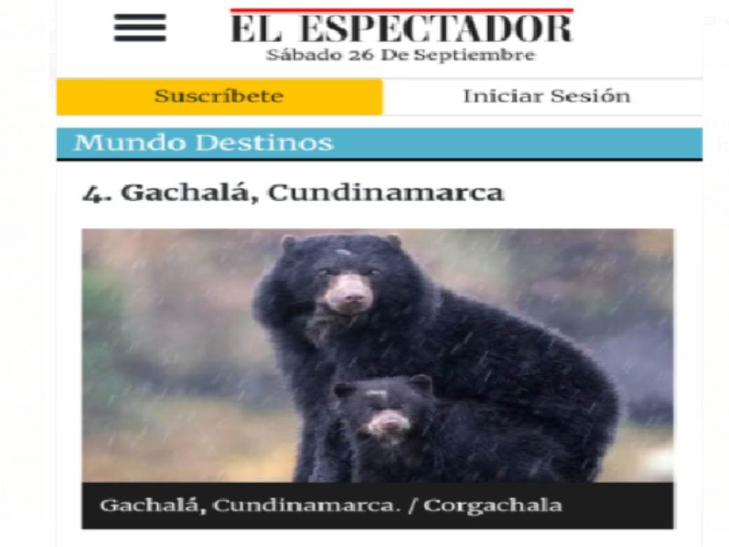noticia