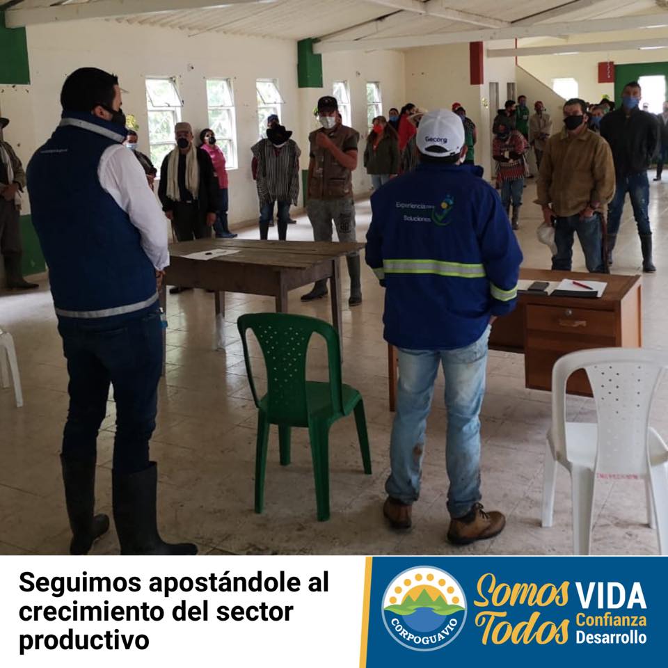 noticia
