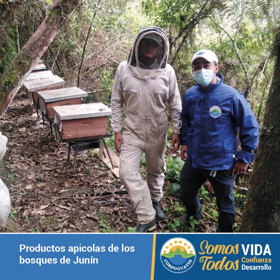 noticia