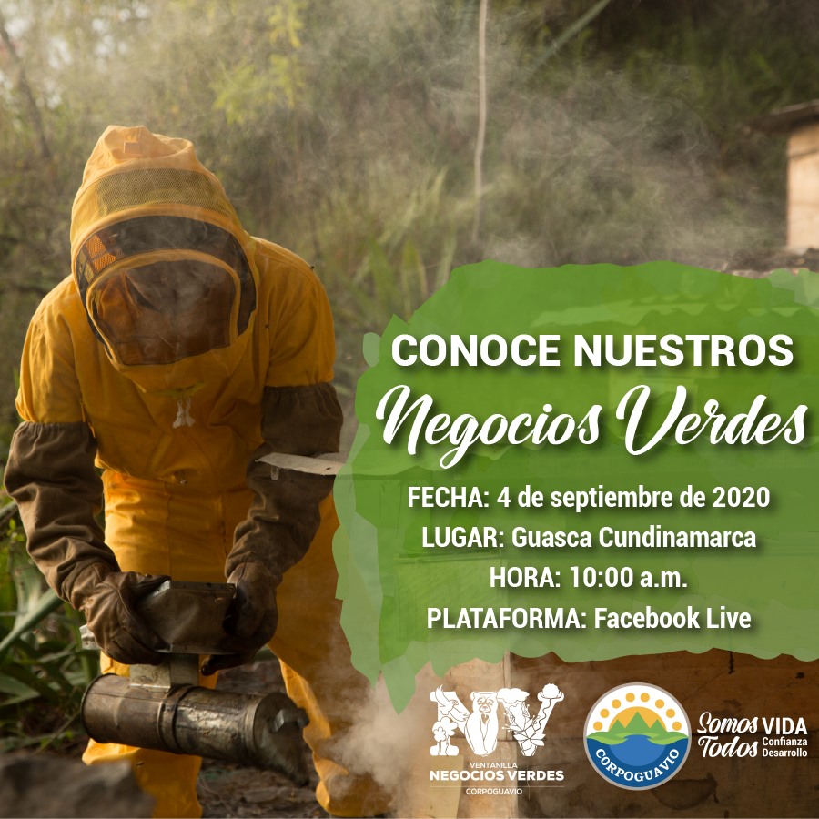 noticia