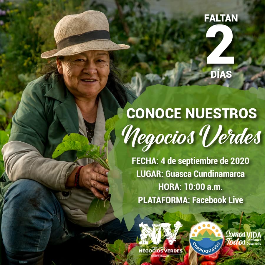 noticia