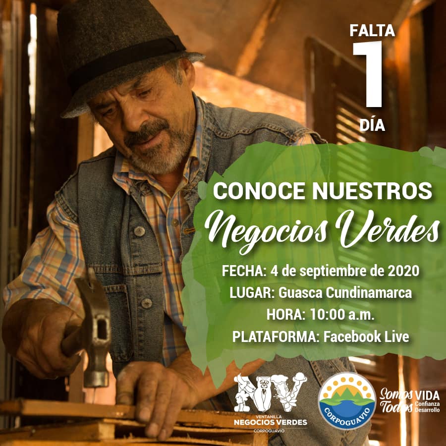 noticia