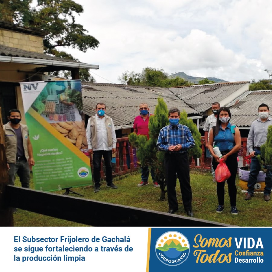 noticia