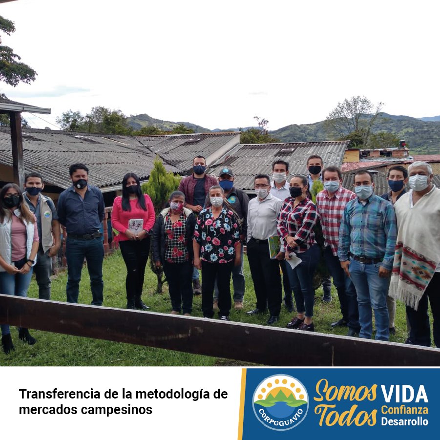noticia
