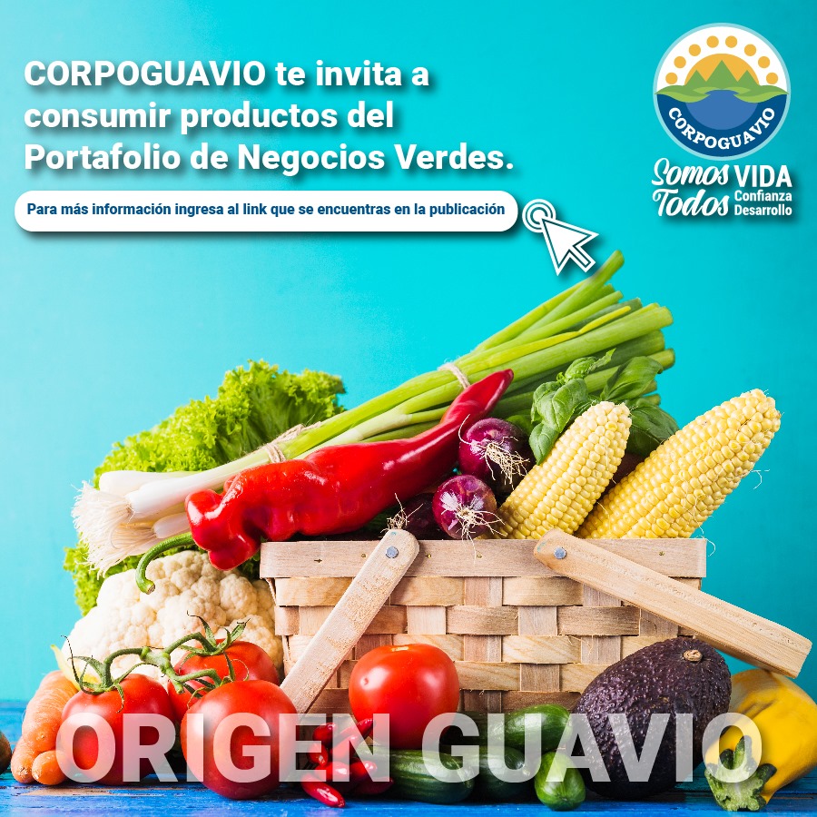 noticia