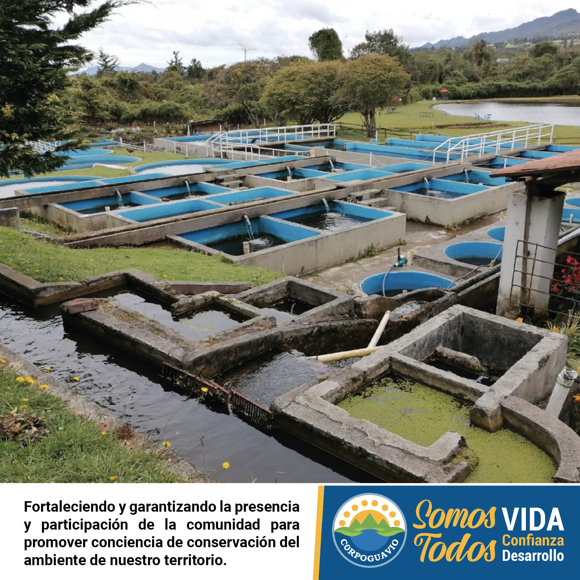 noticia