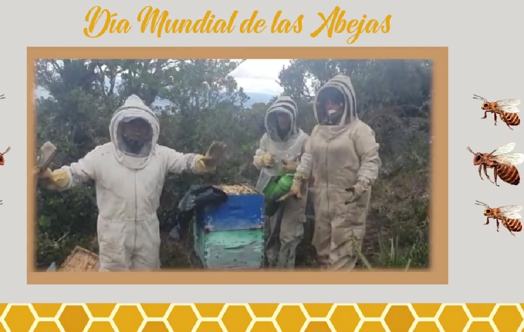 noticia