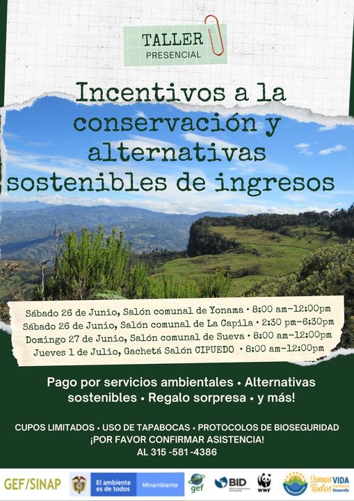noticia