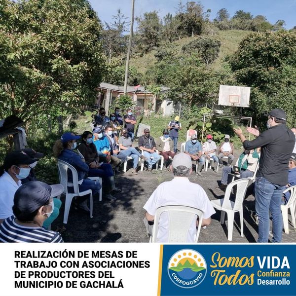 noticia