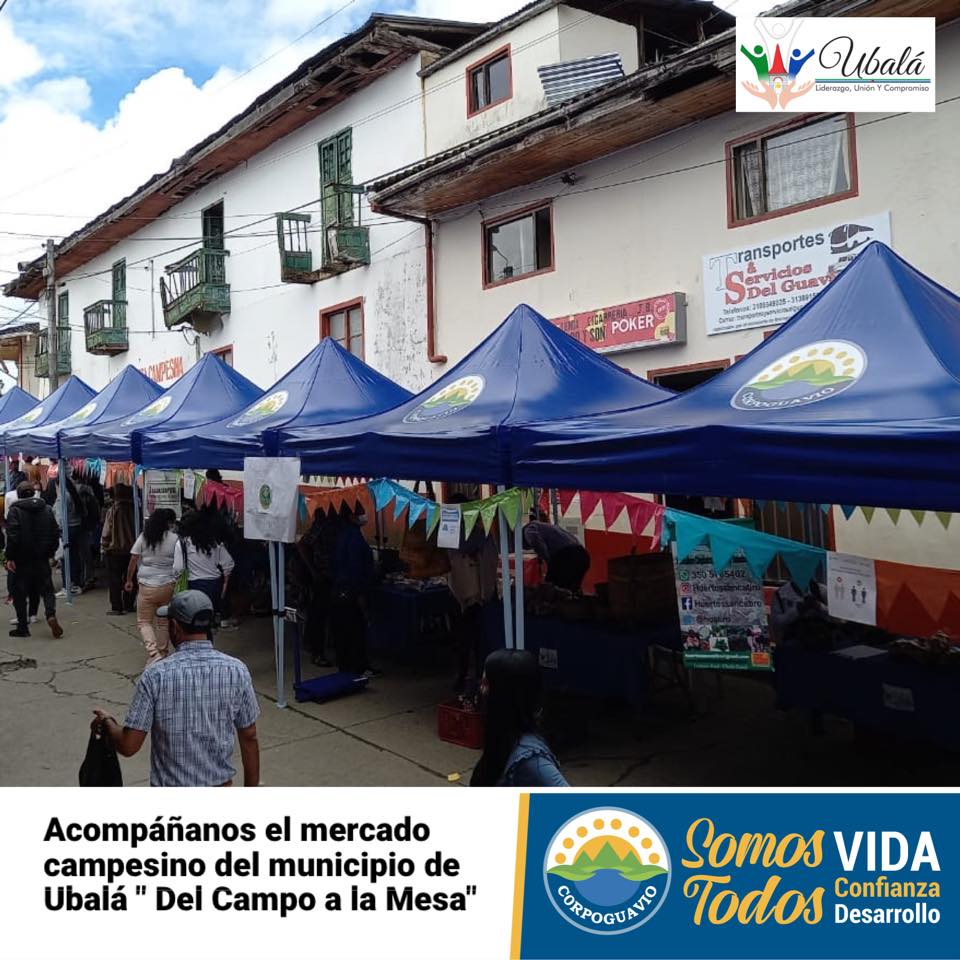 noticia
