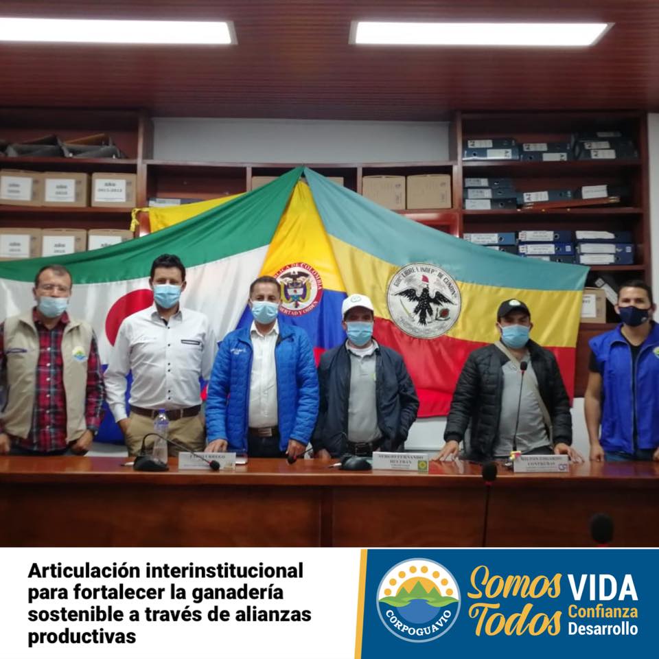 noticia