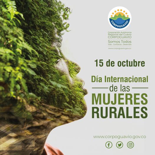 noticia