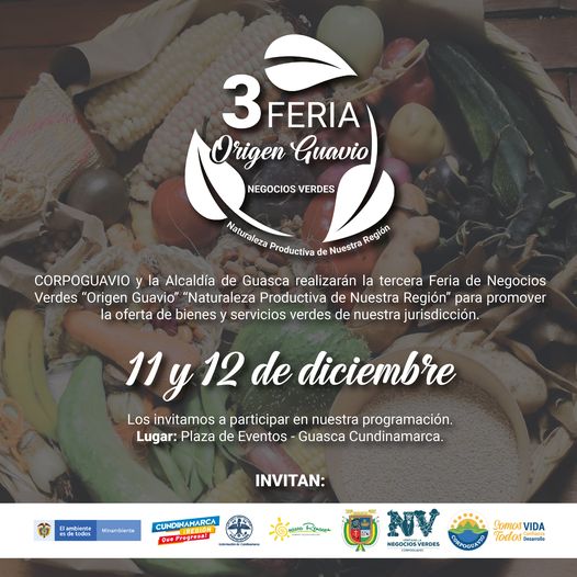 noticia