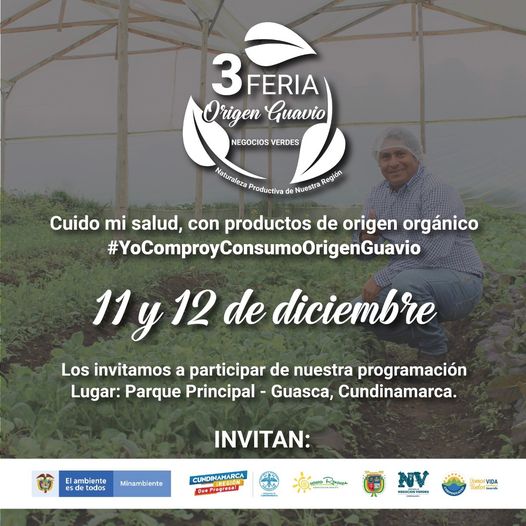 noticia