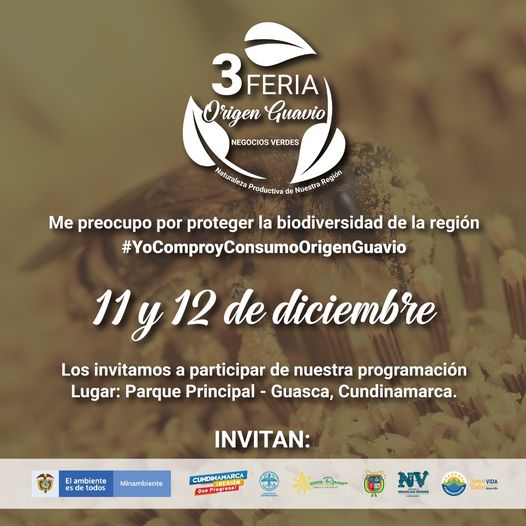 noticia