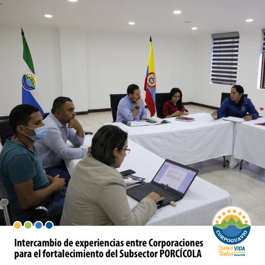 noticia