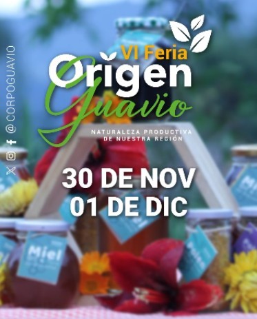 noticia