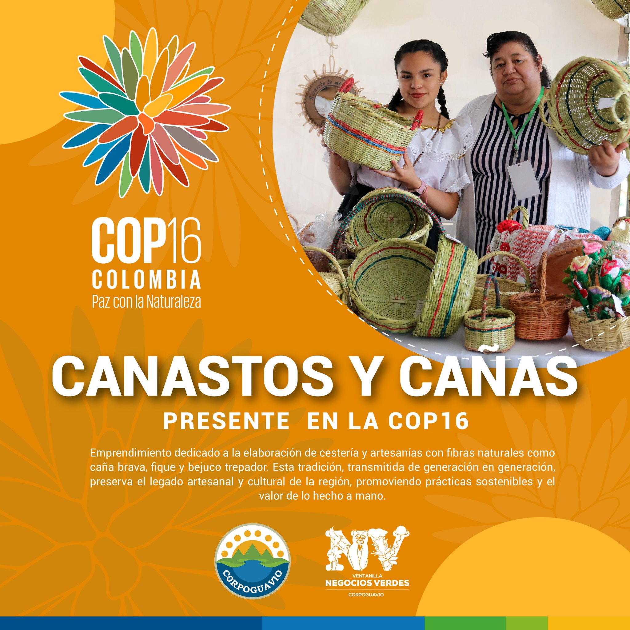 noticia