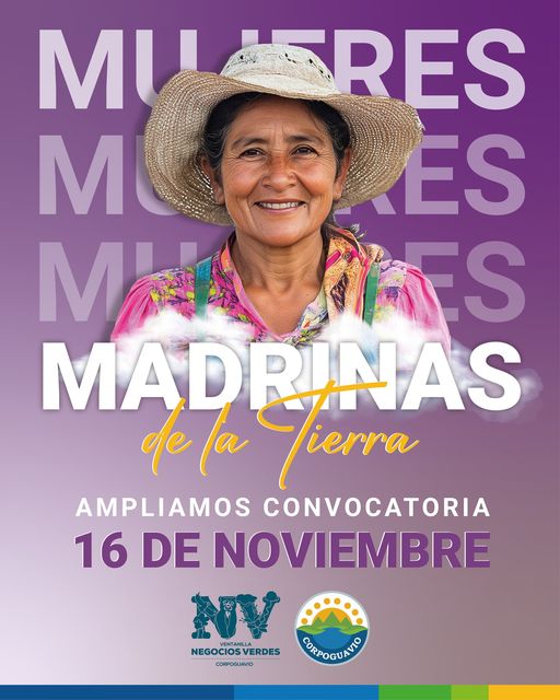 noticia