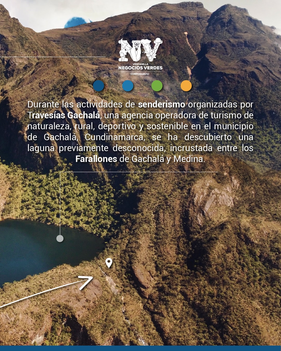 noticia