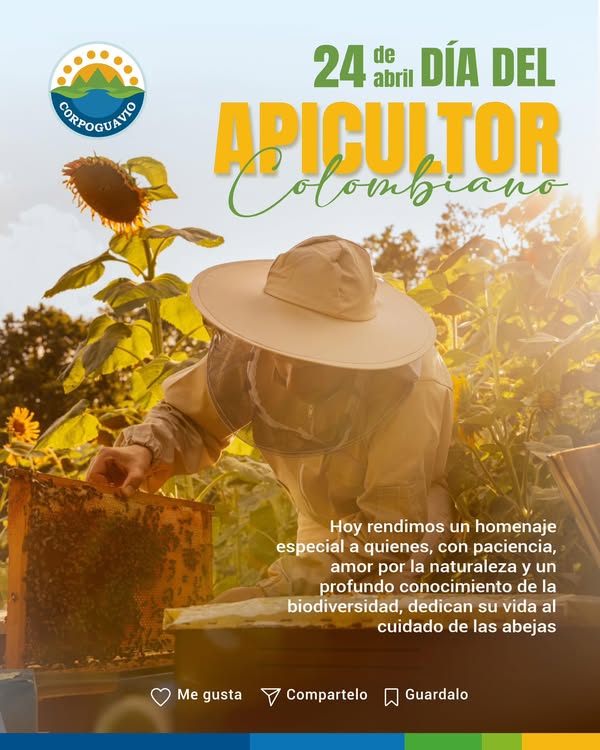 noticia
