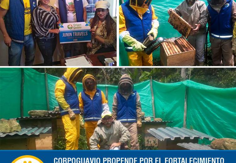 verificacion-de-criterios-aiguavio