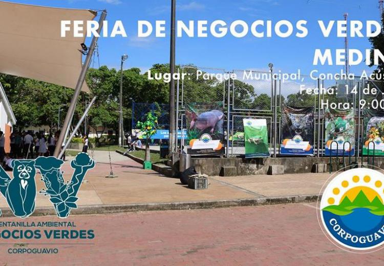 diplomado-de-negocios