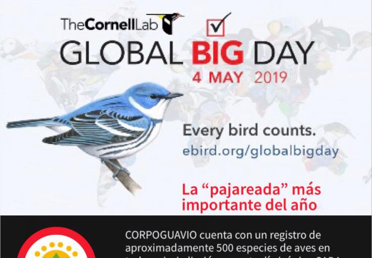 global-big-day