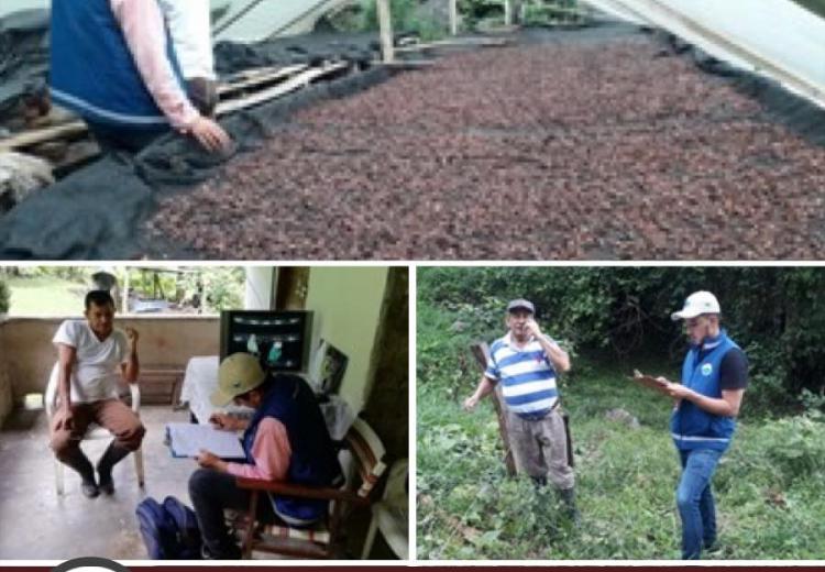 los-cacaoteros-de-la-jurisdiccion