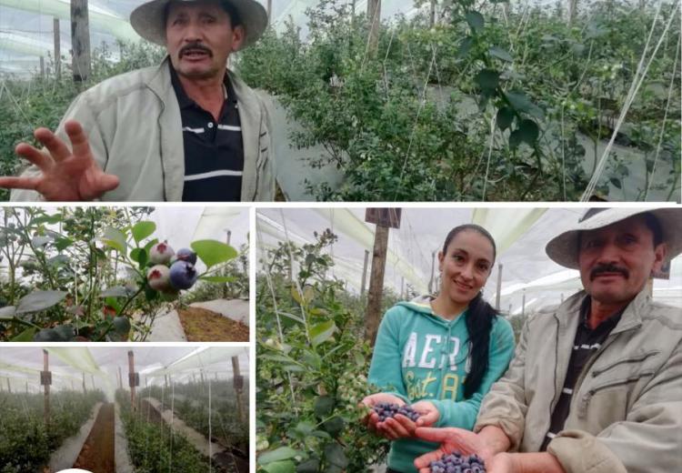 la-ventanilla-de-negocios-verdes