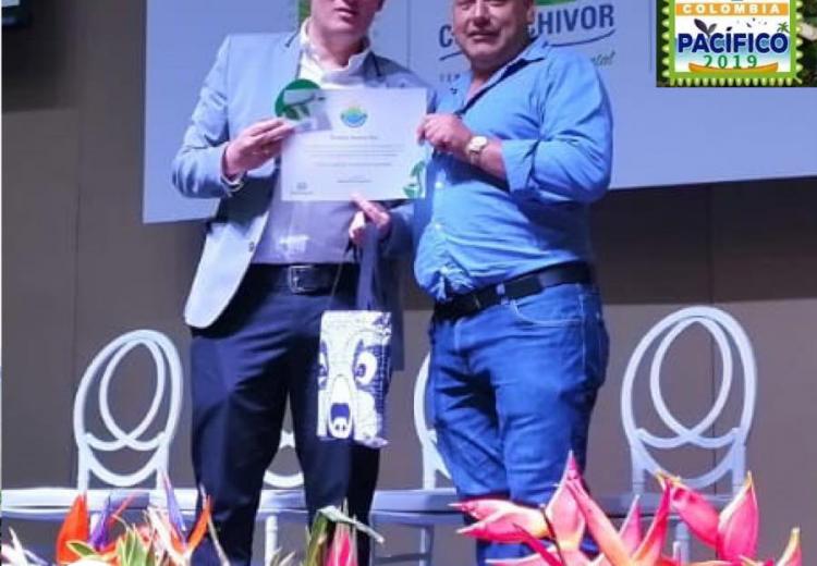 el-director-corpoguavio
