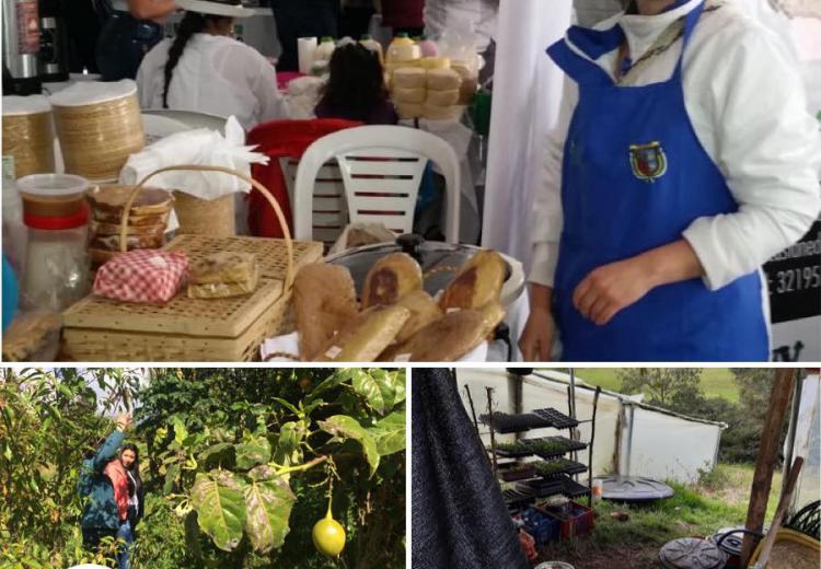 empredimientos-agroecológicos