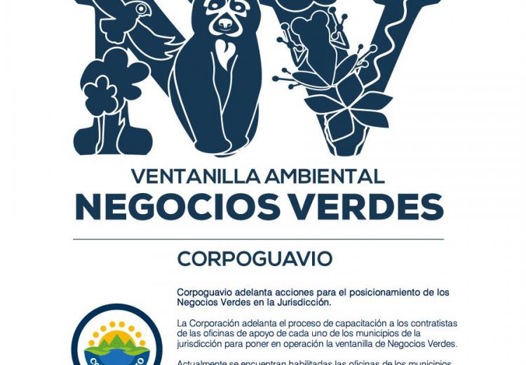 corpoguavio-adelanta-acciones