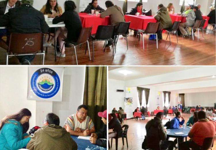 networking-de-bienes