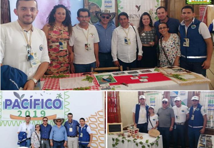 finaliza-participacion